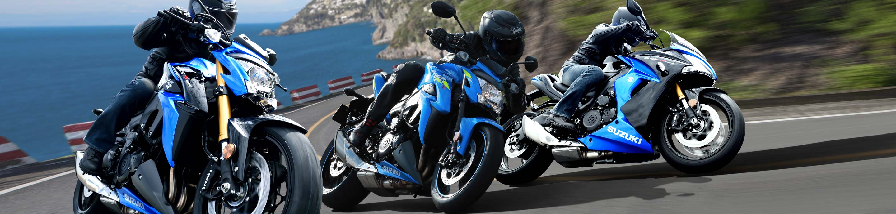 Carenagem Suzuki GSXR 1000