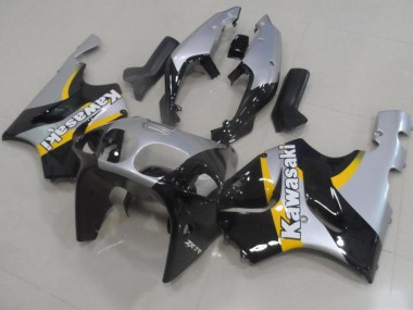 Carenagem Moto ZX9R 2000-2001 - Prata & Preto